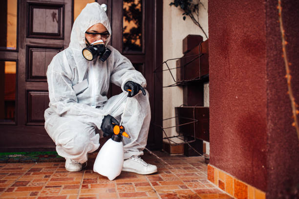 Reliable Bed Bug Control contractor in Enid, OK by Nex Pest Control